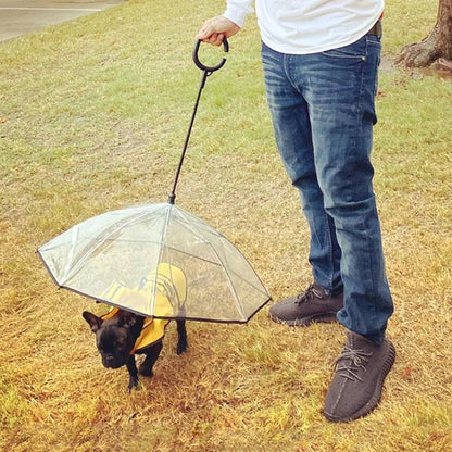 Paraguas Para Perros, Paraguas Transparente Para Mascotas, Paraguas Con Asa Flexible Para Perros Con Cuerda Para Mascotas Pequeñas